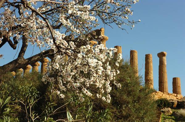 Casa Di Nonna Gina Apartment Agrigento Ngoại thất bức ảnh